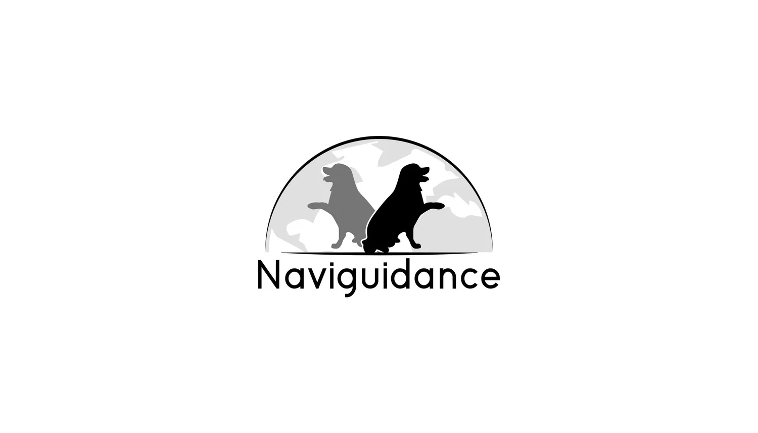 NaviGuidance logo